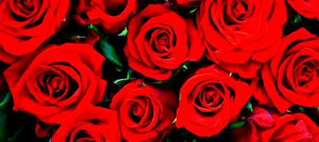 …Paint The Town Red