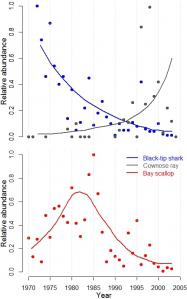 Sharks: the world’s custodians of fisheries