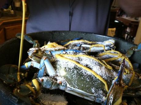 Hilarys I Phone Drop 5.6.2012 090 650x485 Homemade Maryland Blue Crabs