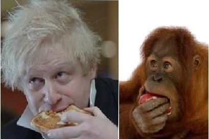 Boris Johnson: London’s first mayor to look (almost exactly) like an orangutan