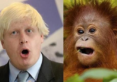 Boris Johnson: London’s first mayor to look (almost exactly) like an orangutan