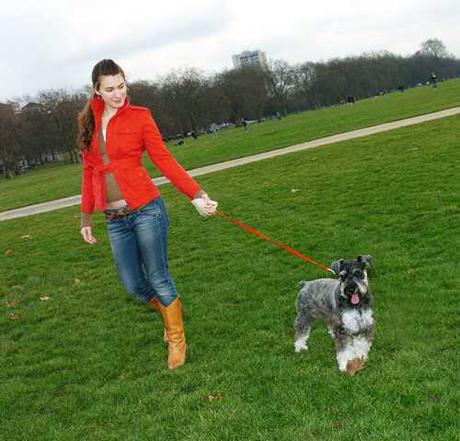 Hand Dog Leash Makes Taking Fido for Walkies a More Human Experience