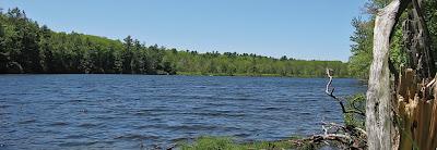 Pocono Mountains Green