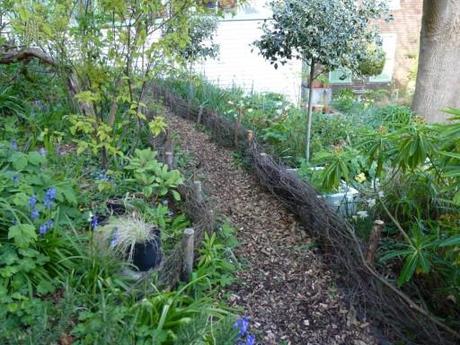 garden path edged with willow