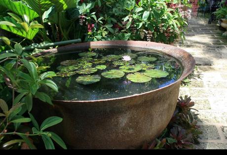 Hunte’s Garden, Barbados