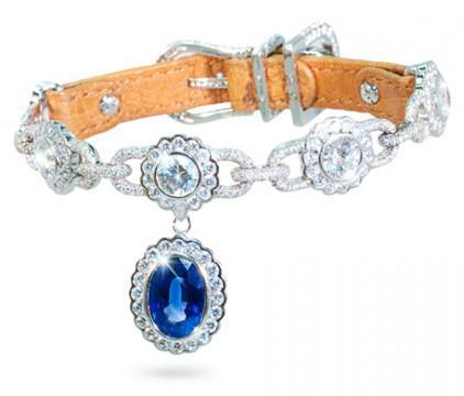 Amour de la Mer diamond dog collar: © I Love Dogs Diamonds