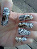 KOTD Zebra and Leopard Nails