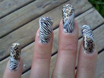 KOTD Zebra and Leopard Nails