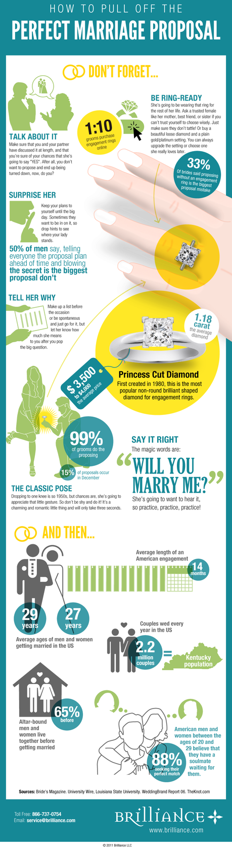 How to Propose, proposal ideas, perfect proposal, raymond lee jewelers