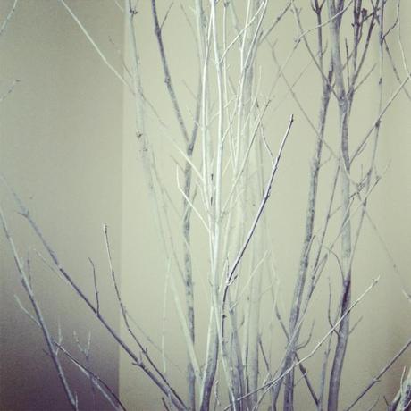 15 Ways to Decorate with TWIGS. Simple. Gorgeous. Just like Pocahontas.