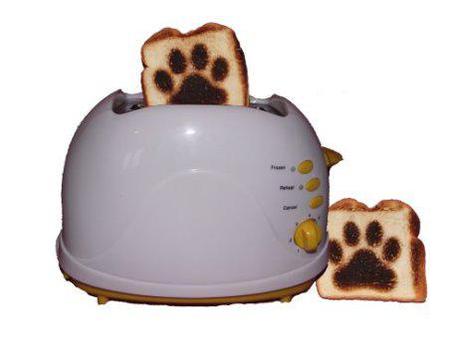 Need A Break? Paws For Toast!