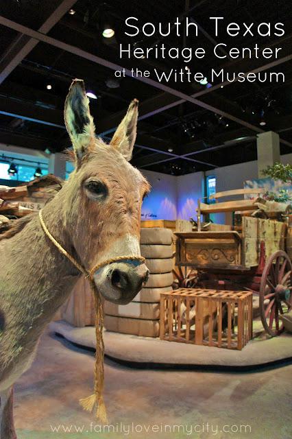 South Texas History Has a Home at the Witte Museum