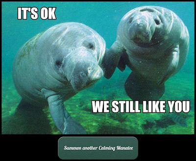 Calming Manatee