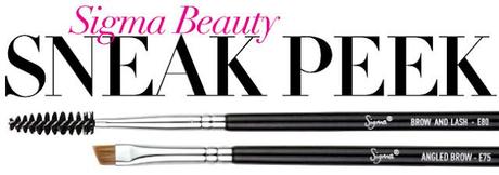 New Sigma Brushes Sneak Peak!