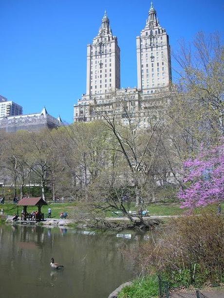 Central Park in Spring