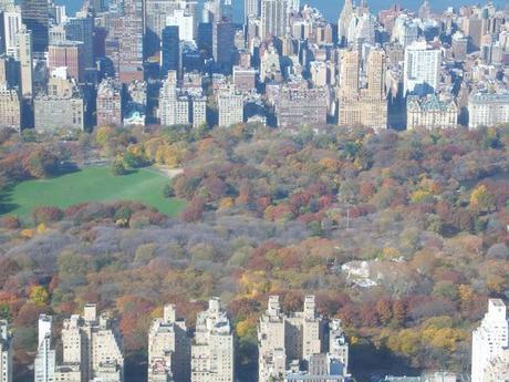 Central Park in Spring