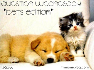 Question Wednesday~Pets~