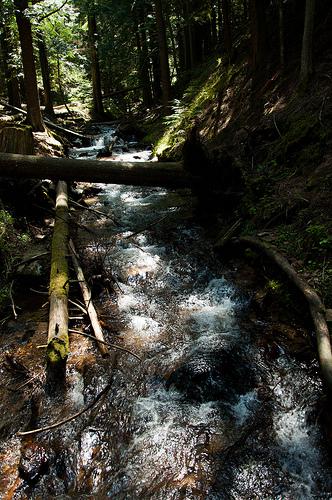 20120513_spokane_libertylake-32