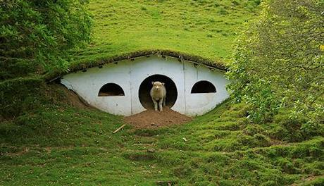 Lord Of The Rings Movie Set Now Houses Sheep