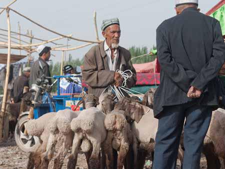 A Uighur men and his goats