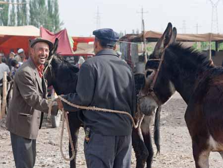 Two men with donkeys chatting
