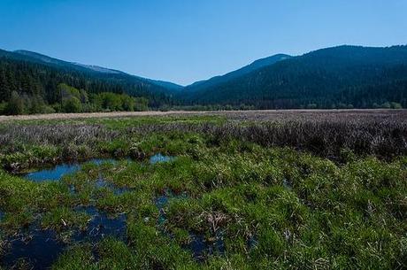 20120513_spokane_libertylake-96