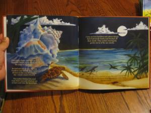 nicaragua sea turtle children's book