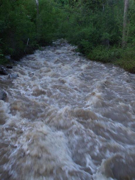 dream - insane jogging upstream - collapsing river banks