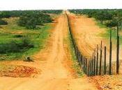 Australia Afford Dingo Fence?