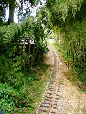 parque nacional del café