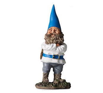 The Gnome Experiment