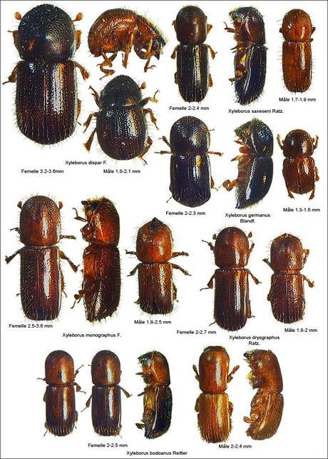 What The......?! What The......?!