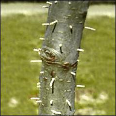 What The......?! What The......?!