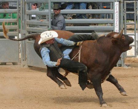 Professional Bull Riding University Being Planned In Colorado