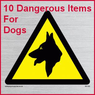 10 Common Household Items Dangerous To Dogs