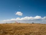 The grasslands with Buddhist prayer flags