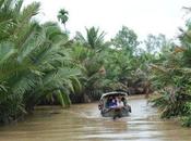 Life River: Cruise Mekong Delta