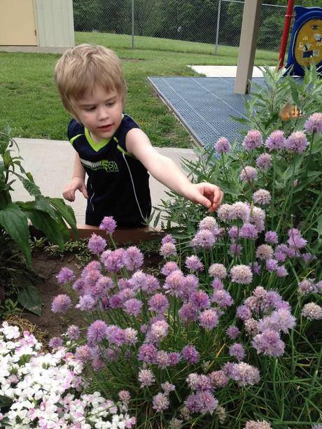 Lincoln at school picnic