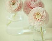 Reverie . whimsical flower photography . modern home decor . pastel pink print . simple zen art . cottage chic home decor - joystclaire