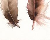 Feathers No. 2   feather painting, nature, archival print. - amberalexander