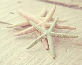 pastel starfish photo beach cottage shabby chic decor soft dreamy sea stars pale pink mint buttercream - TheGinghamOwl