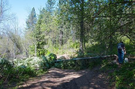 20120513_spokane_libertylake-72