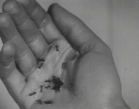 Un Chien Andalou (1929)