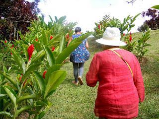 la finca colombiana