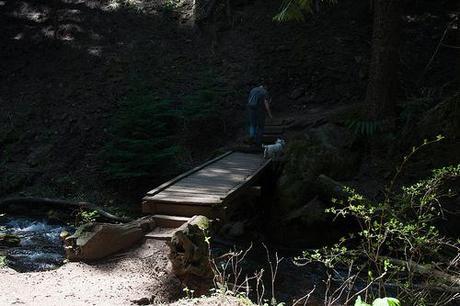 20120513_spokane_libertylake-31