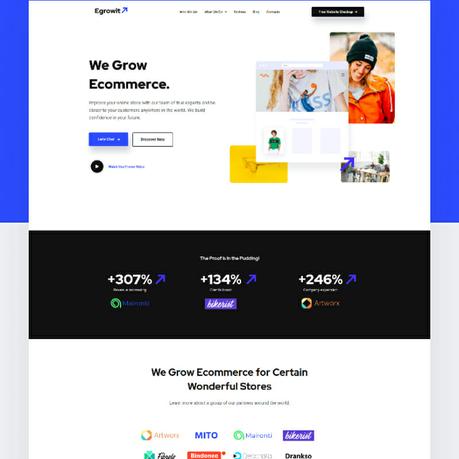 11 Free & Premium Elementor Templates for Different Projects Ecommerce WordPress theme