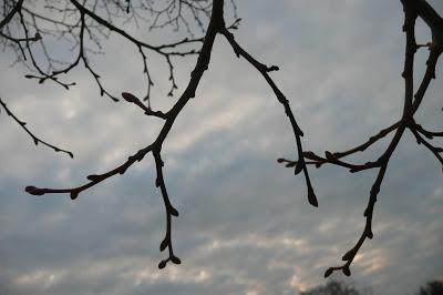 In the Dark Time of the Year