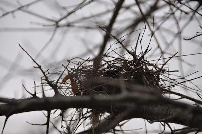 In the Dark Time of the Year