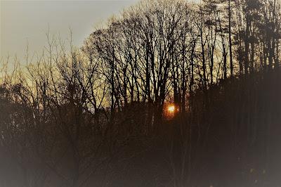 In the Dark Time of the Year