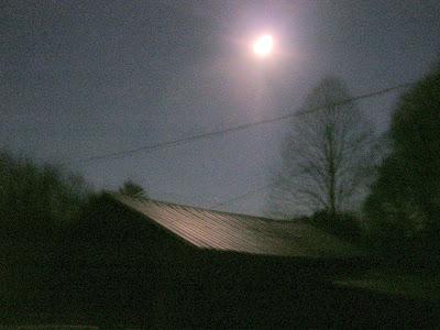 In the Dark Time of the Year